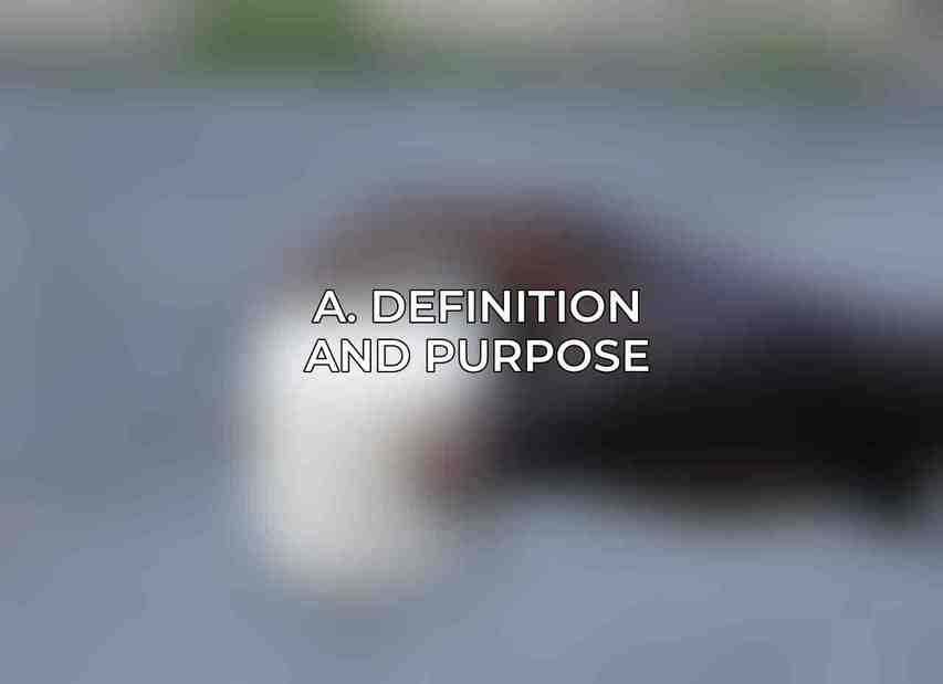 A. Definition and Purpose