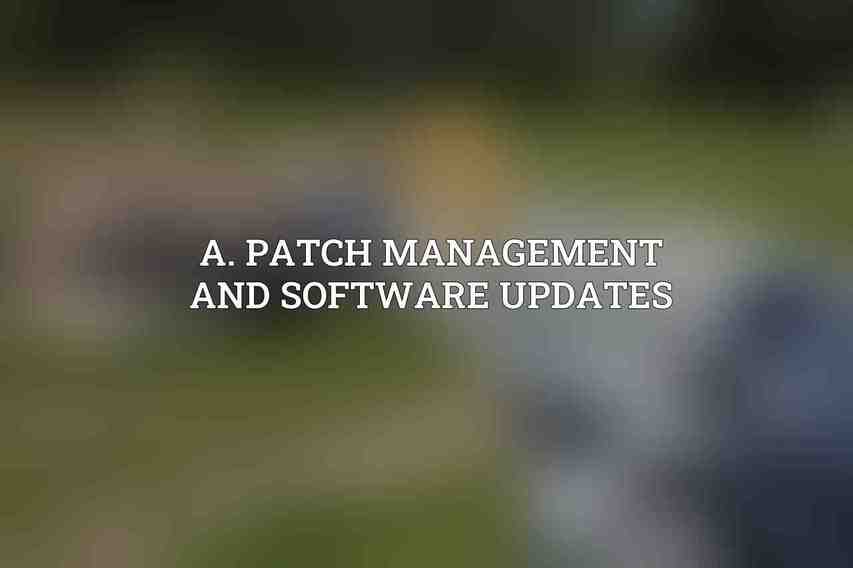 A. Patch Management and Software Updates