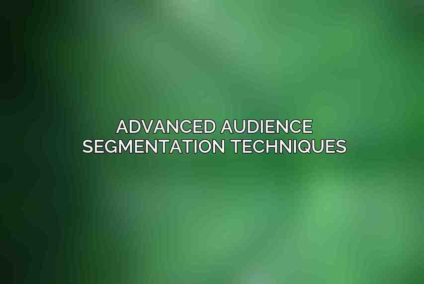Advanced Audience Segmentation Techniques