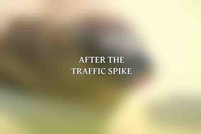After the Traffic Spike