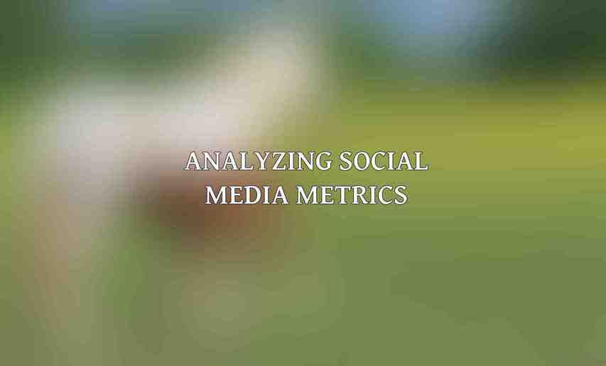 Analyzing Social Media Metrics