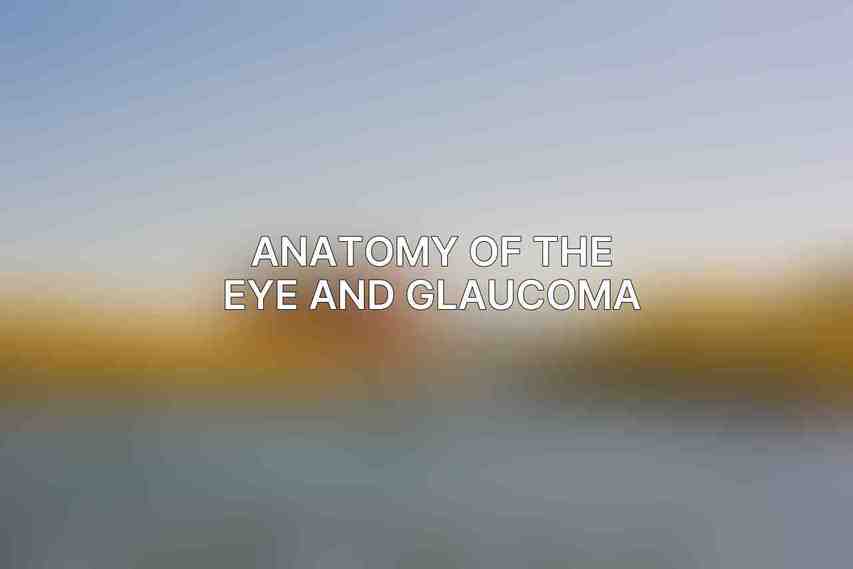 Anatomy of the Eye and Glaucoma