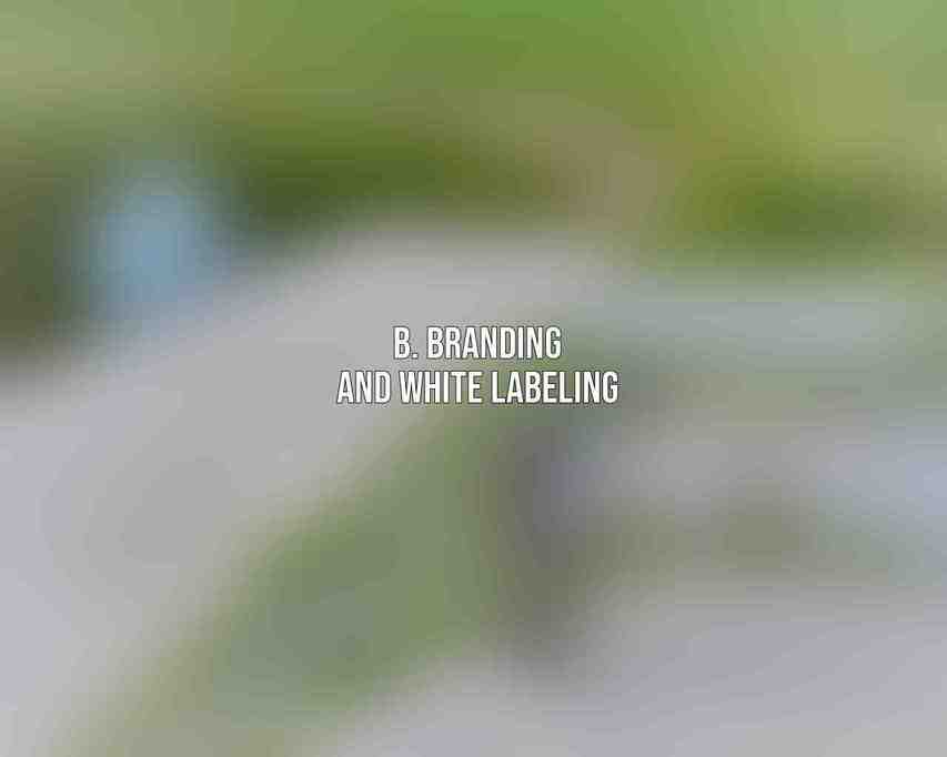 B. Branding and White Labeling