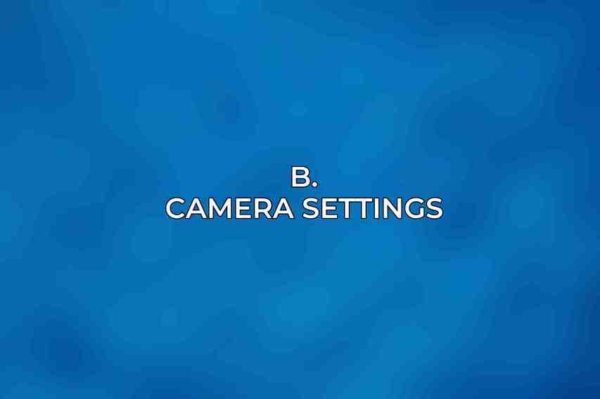 B. Camera Settings