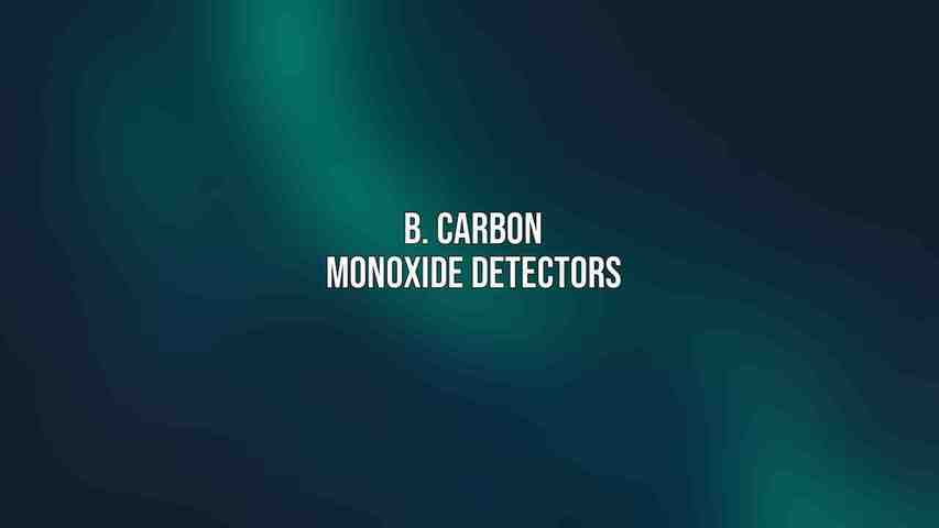 B. Carbon Monoxide Detectors