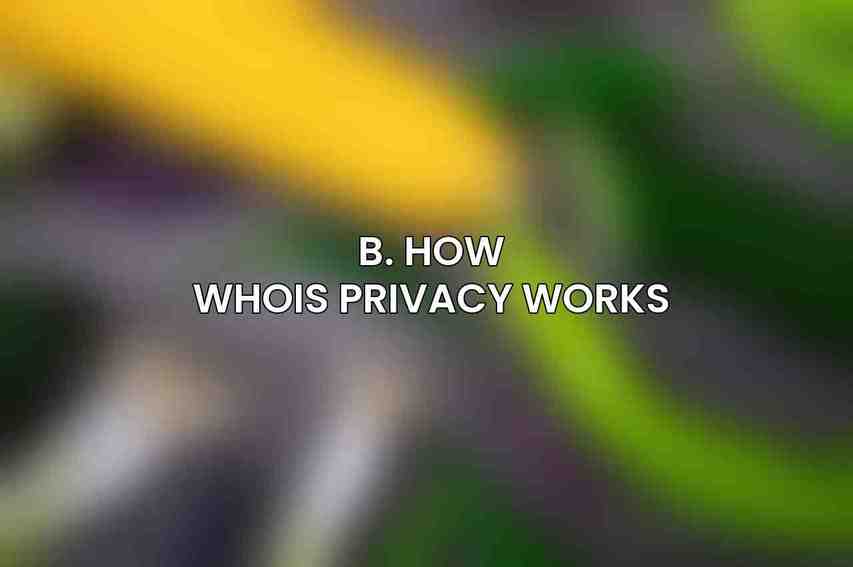 B. How Whois Privacy Works