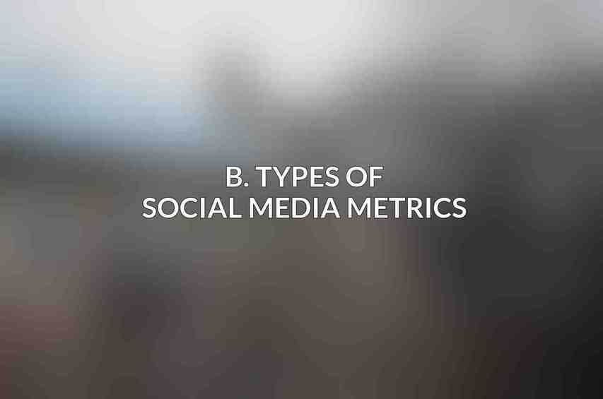 B. Types of Social Media Metrics