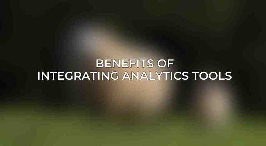 Benefits of Integrating Analytics Tools