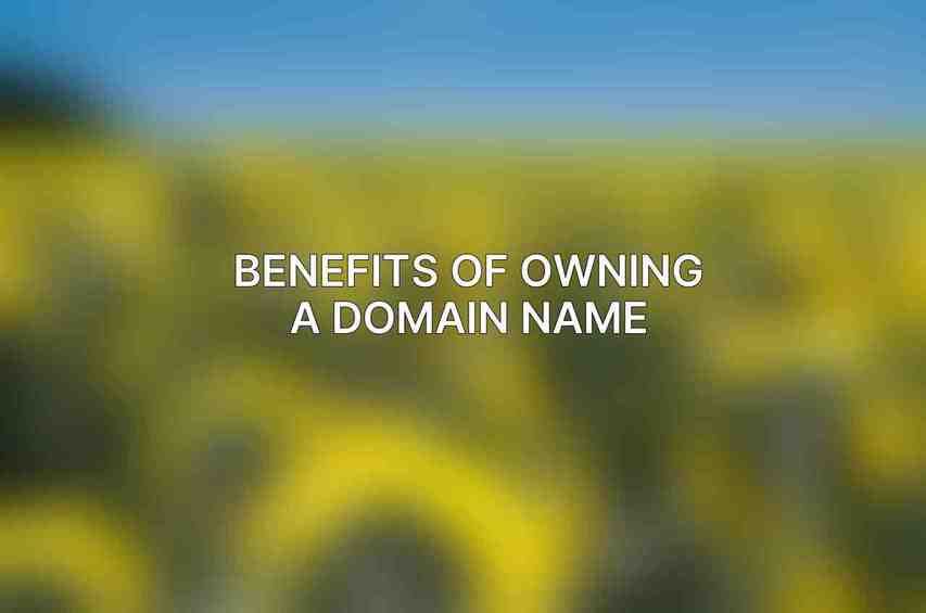 Benefits of owning a domain name: