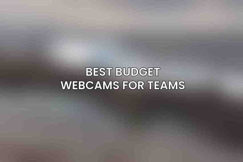 Best Budget Webcams for Teams