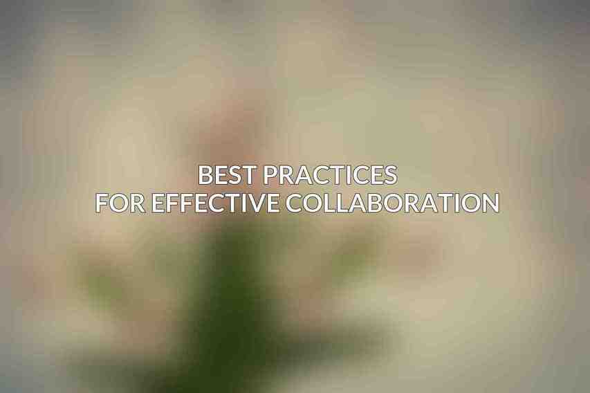 Best Practices for Effective Collaboration