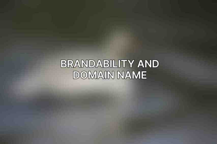 Brandability and Domain Name
