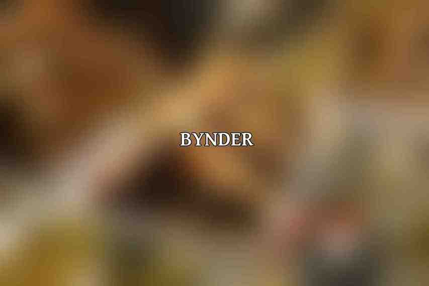 Bynder