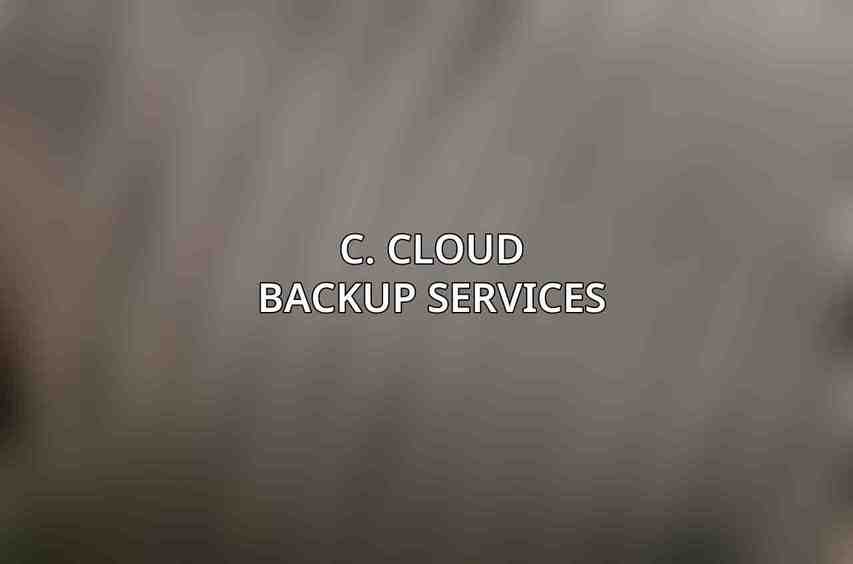 C. Cloud Backup Services
