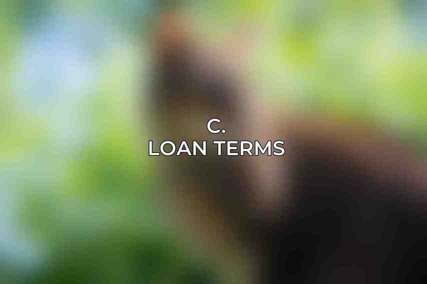 C. Loan Terms