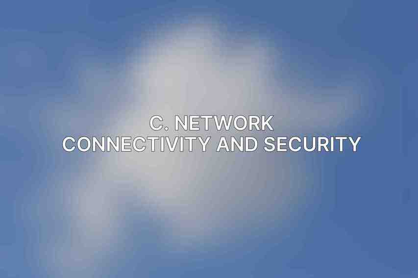 C. Network Connectivity and Security