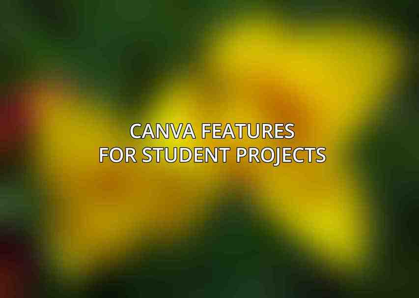 Canva Features for Student Projects