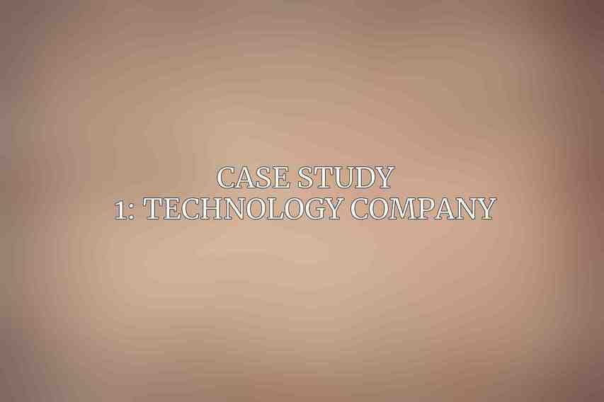 Case Study 1: Technology Company