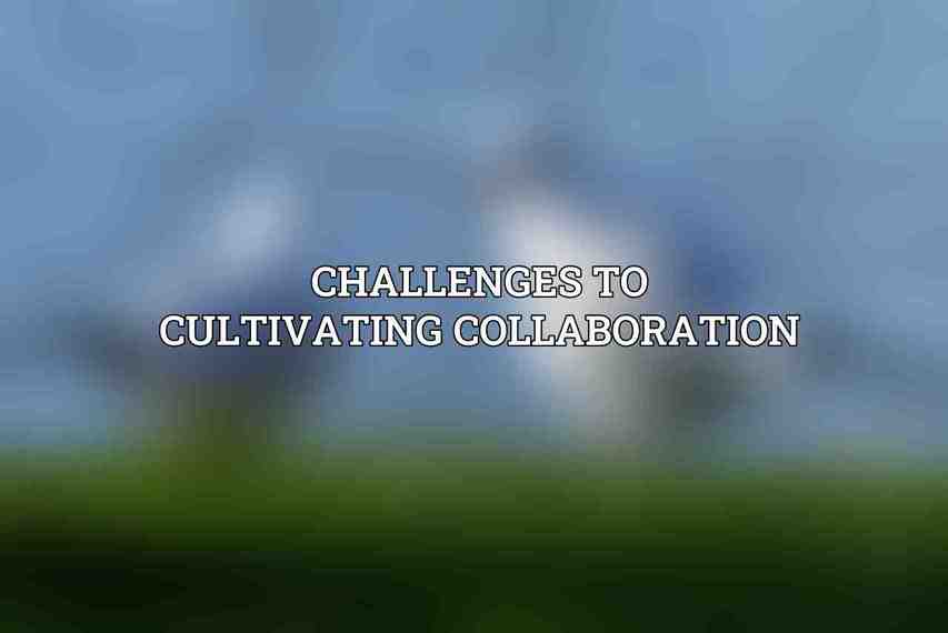 Challenges to cultivating collaboration