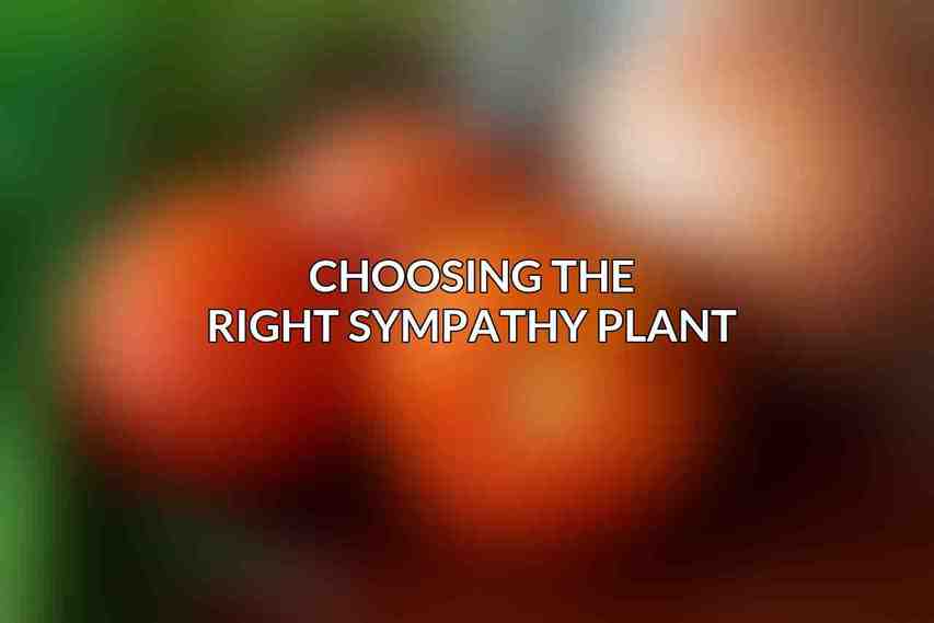 Choosing the Right Sympathy Plant