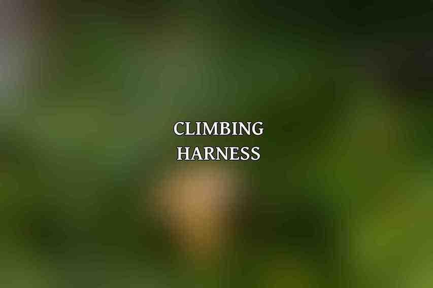 Climbing Harness