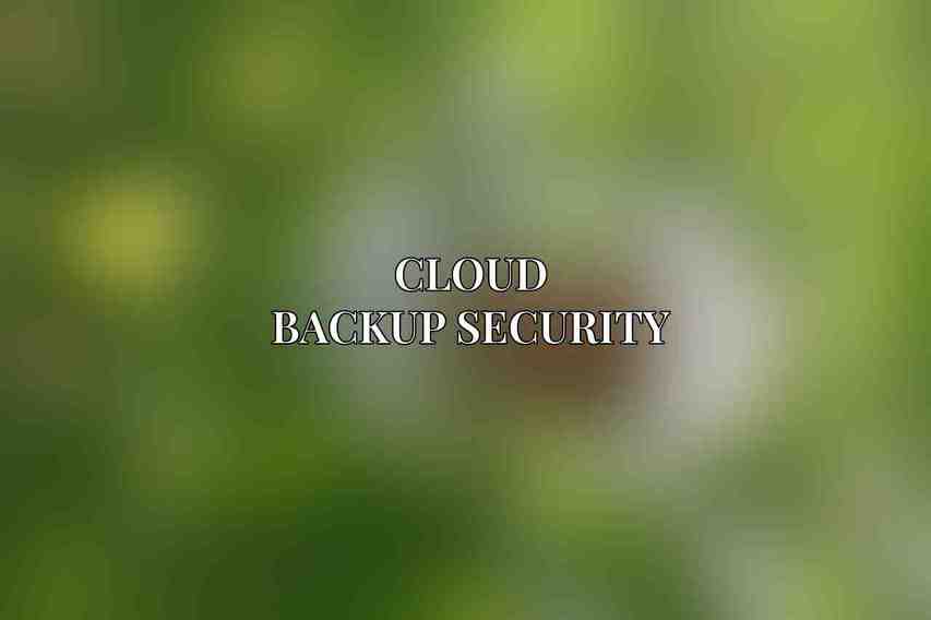 Cloud Backup Security