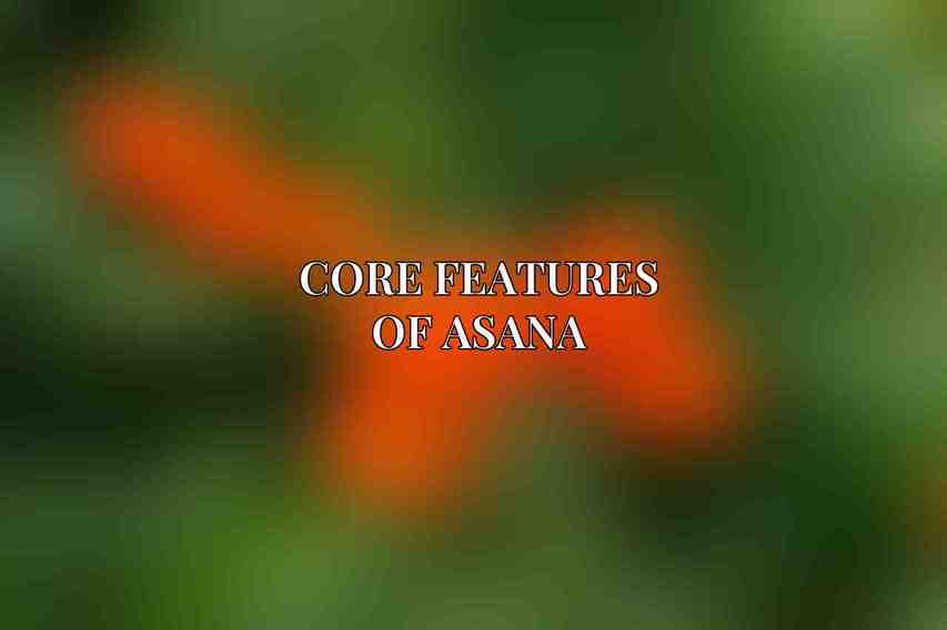 Core Features of Asana