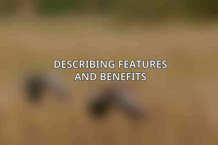 Describing Features and Benefits