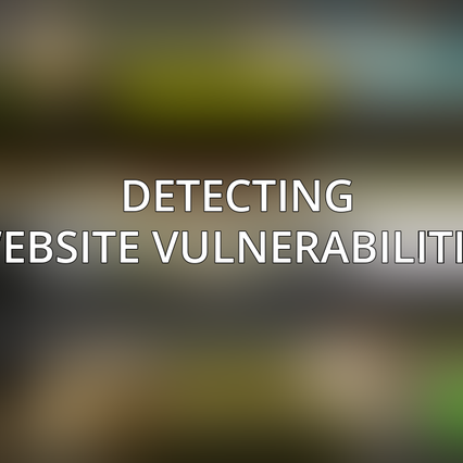 Detecting Website Vulnerabilities