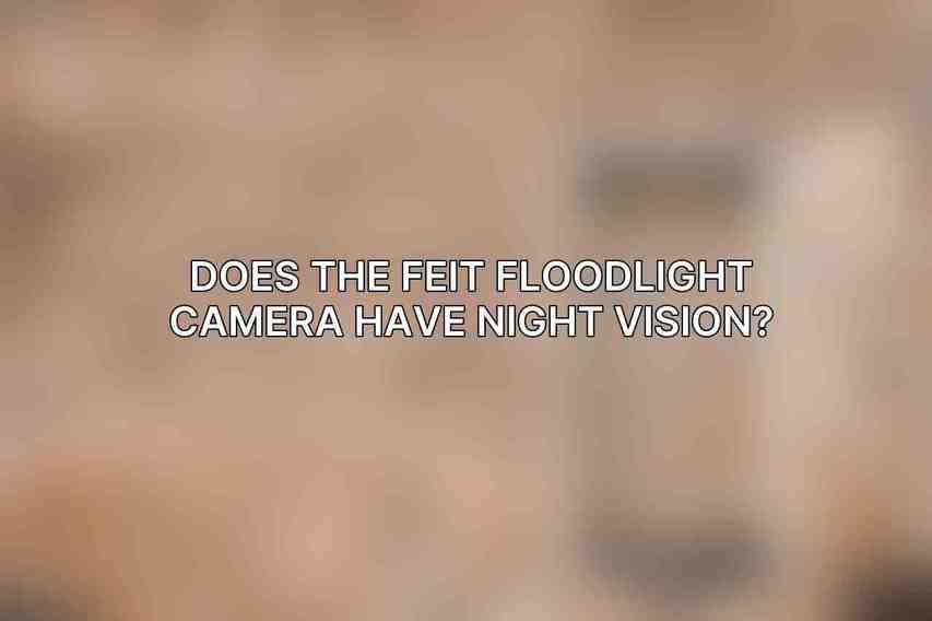 Does the Feit Floodlight Camera have night vision?
