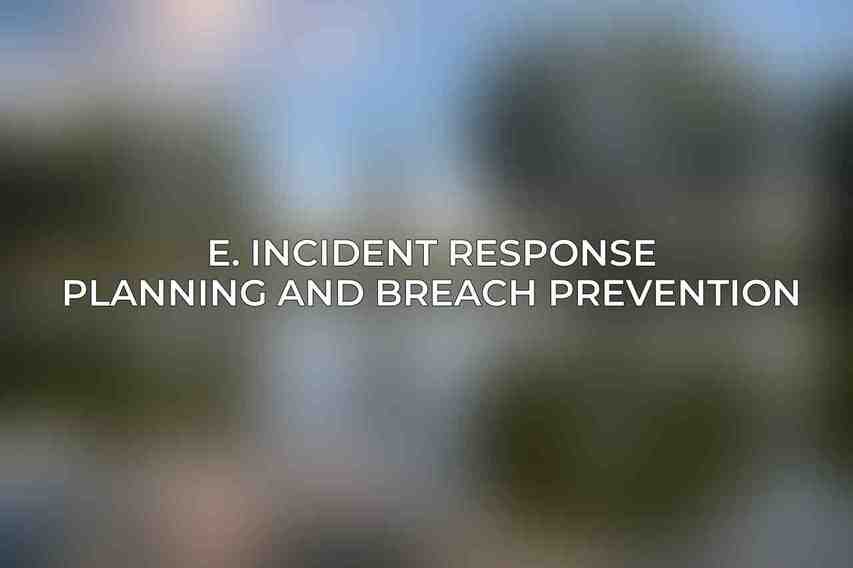 E. Incident Response Planning and Breach Prevention