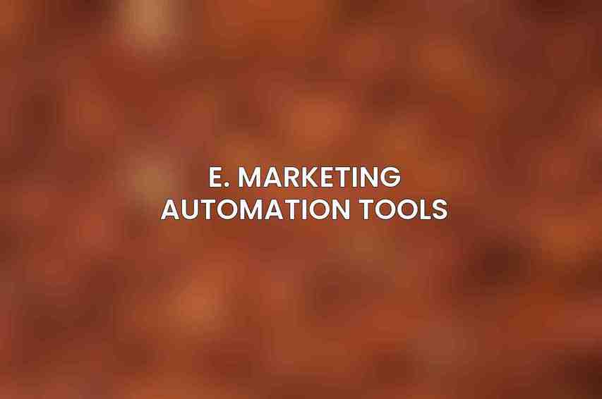 E. Marketing Automation Tools