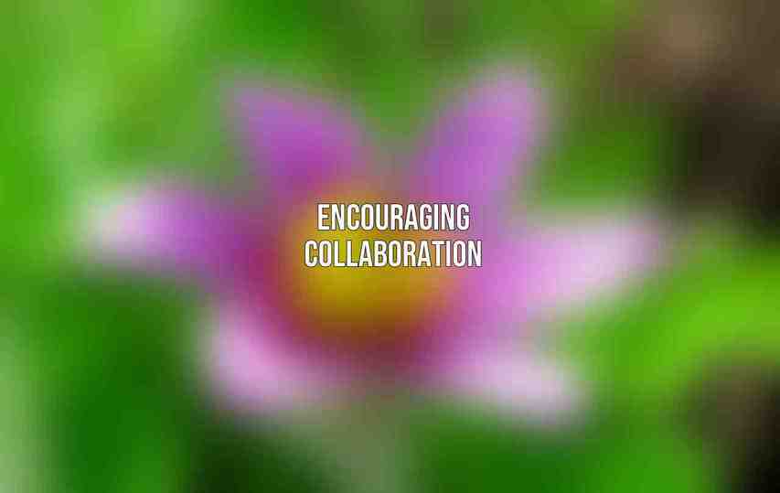 Encouraging Collaboration
