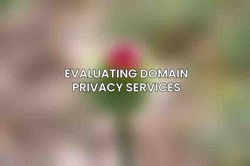 Evaluating Domain Privacy Services