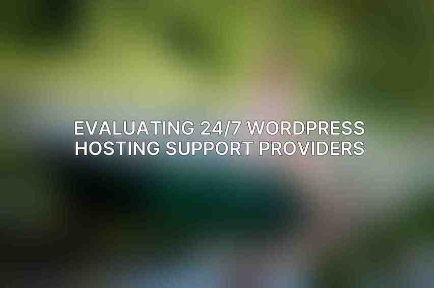 Evaluating 24/7 WordPress Hosting Support Providers