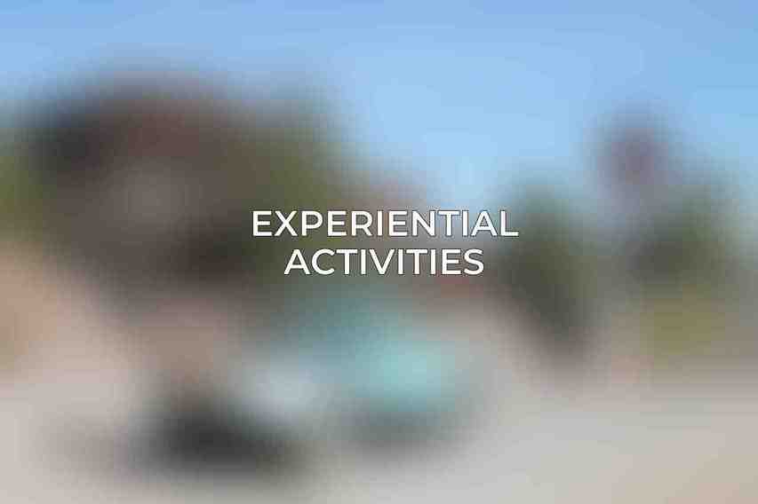 Experiential Activities