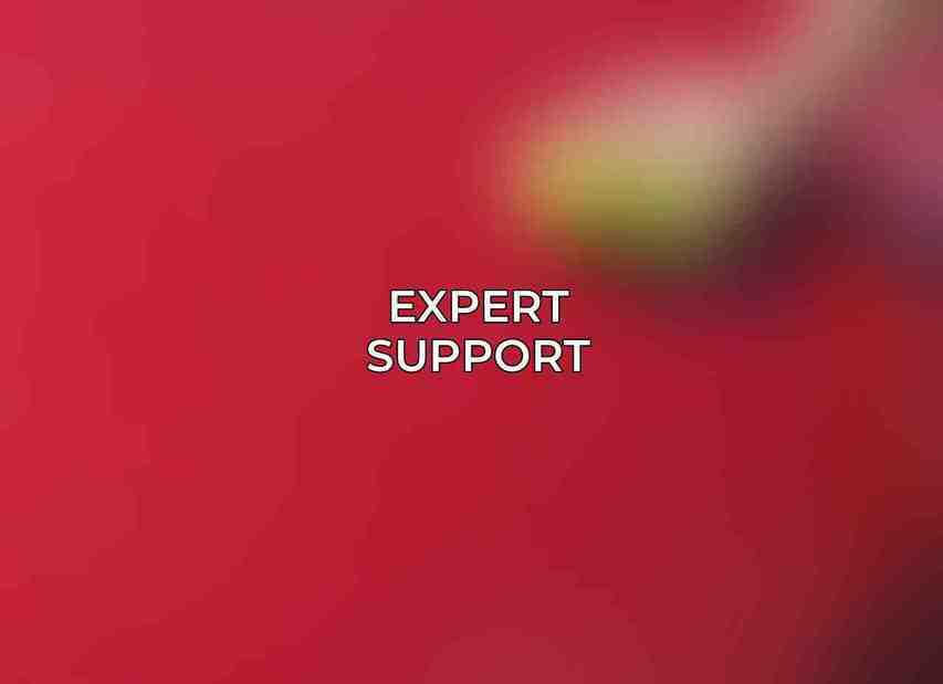 Expert Support