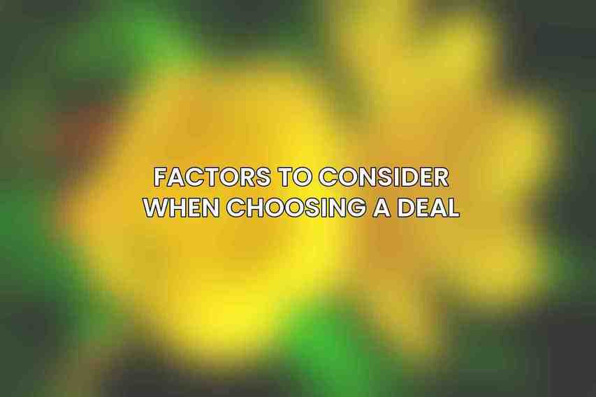 Factors to Consider When Choosing a Deal