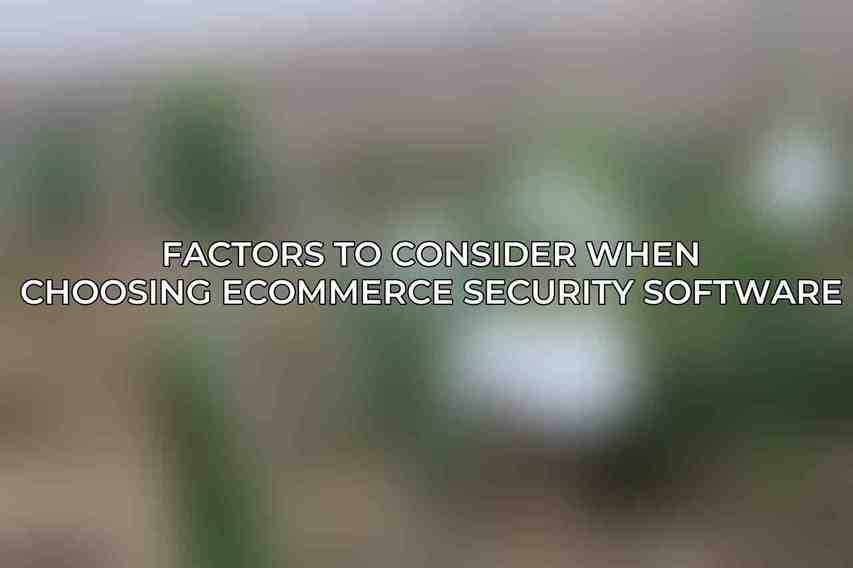 Factors to Consider When Choosing eCommerce Security Software