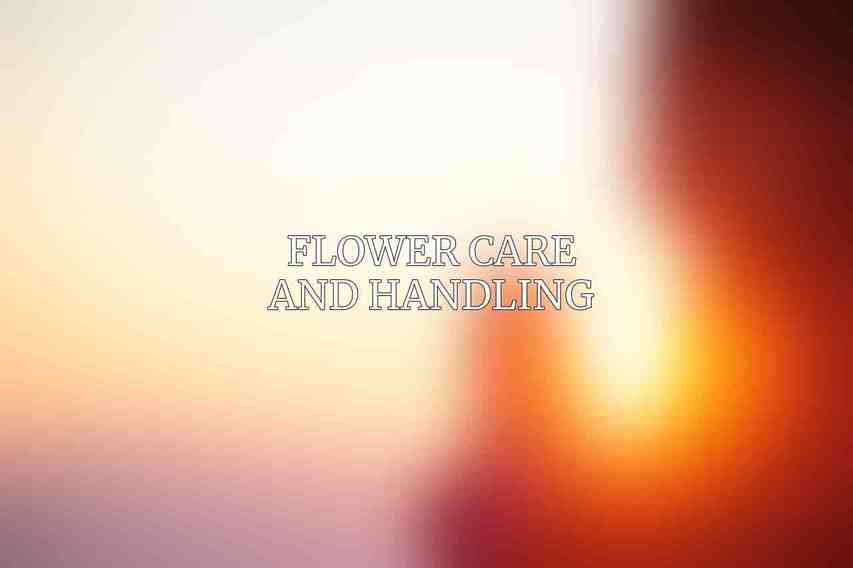 Flower Care and Handling