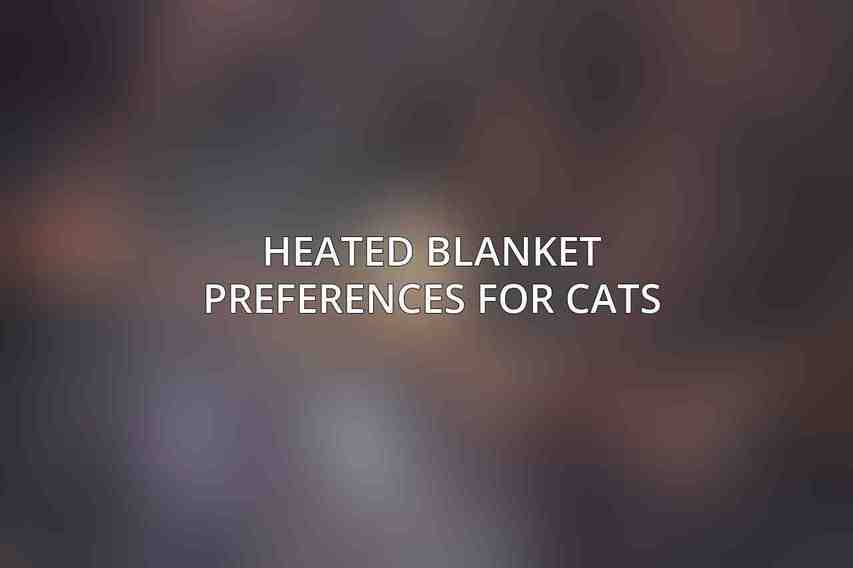 Heated Blanket Preferences for Cats