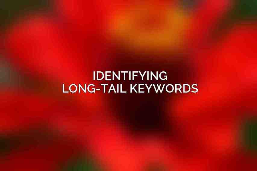 Identifying Long-Tail Keywords