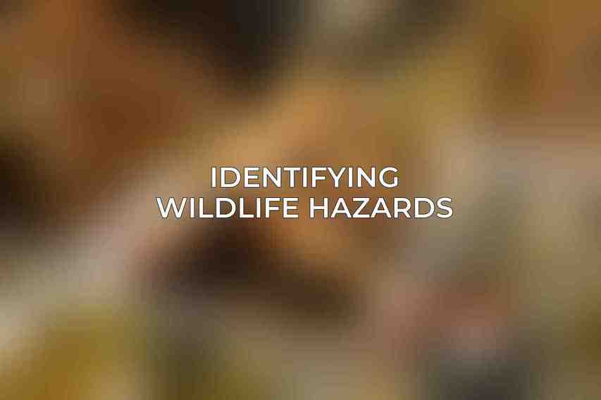 Identifying Wildlife Hazards