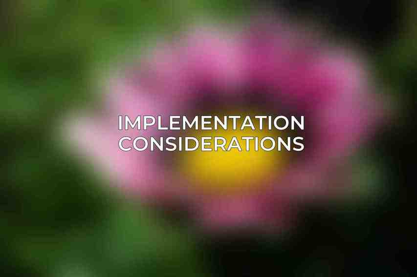 Implementation Considerations