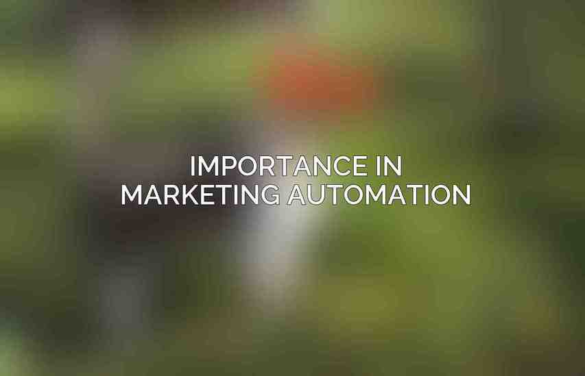 Importance in Marketing Automation