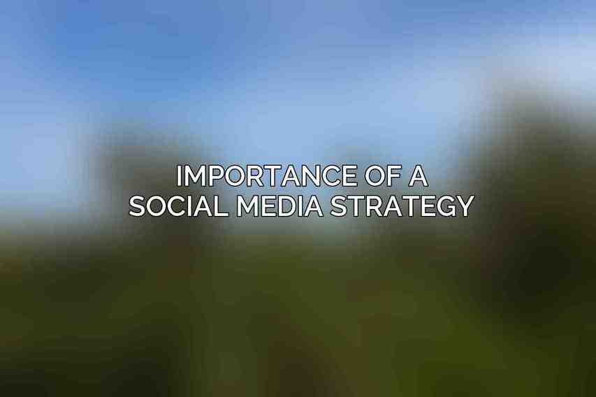 Importance of a Social Media Strategy