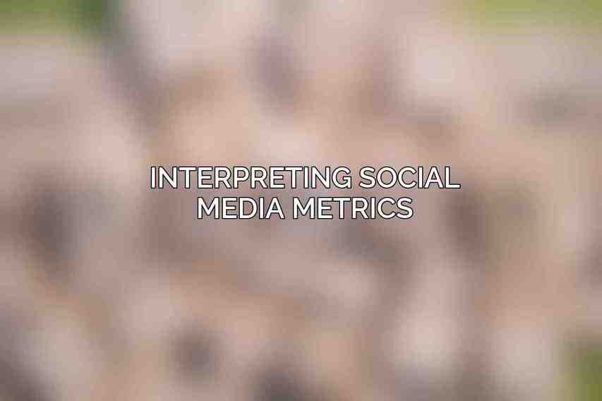 Interpreting Social Media Metrics