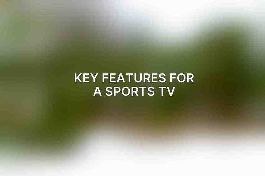 Key Features for a Sports TV