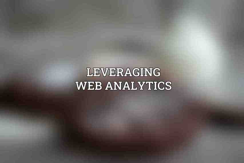 Leveraging Web Analytics