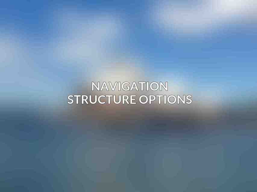 Navigation Structure Options